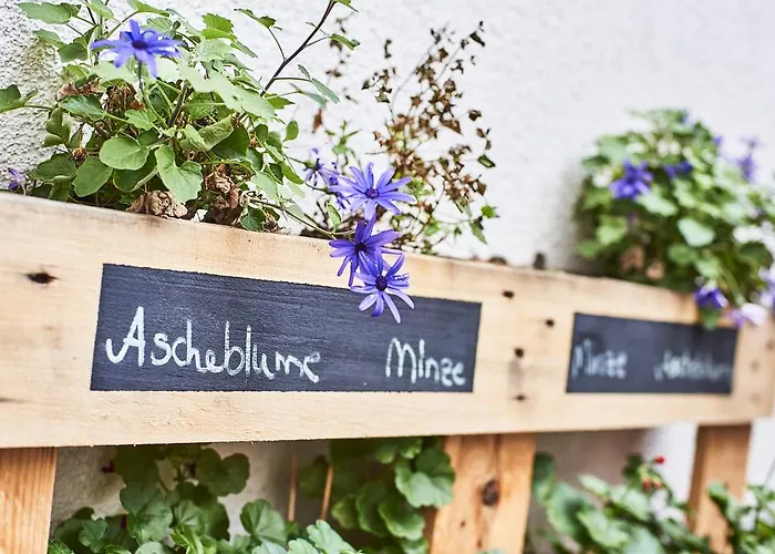 Djh-gaestehaus Bermuda3eck