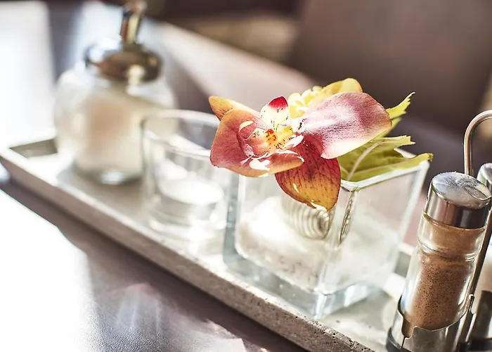 Hotel Djh-gaestehaus Bermuda3eck Bochum